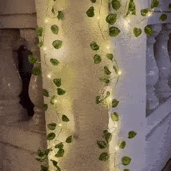 ENREDADERA SOLAR PARA TERRAZA NAVIDAD 5m